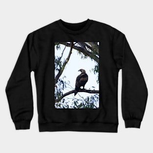 Wedge Tail Eagle Crewneck Sweatshirt